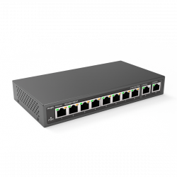 RG-ES110D-P