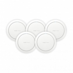 Q3 RG-RAP2266 Bundle One