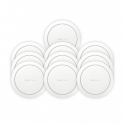 Q3 RG-RAP2266 Bundle Two
